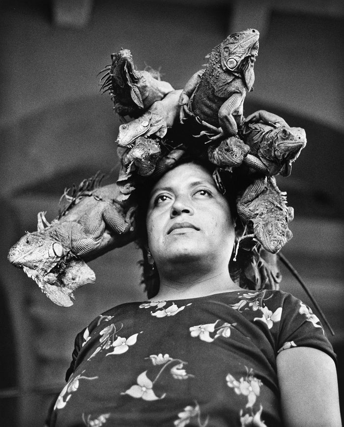 CURSO MAESTRO - RETRATO